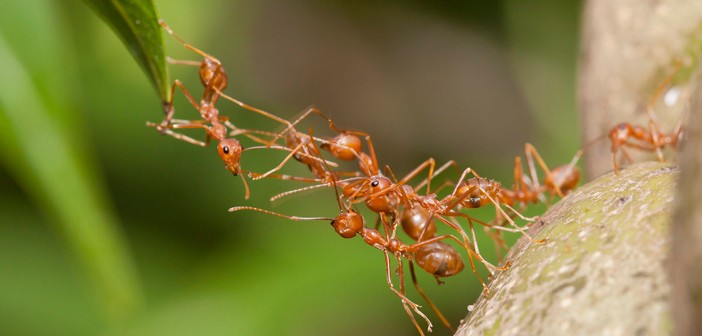 Dini Sohbeti Yeni Odası